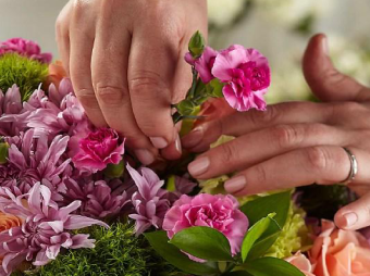 Como cuidar tus flores