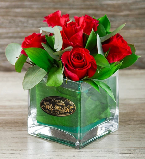 Red roses β Florida Flores